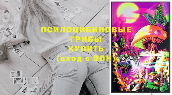 бошки Богородицк
