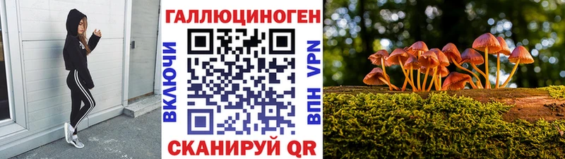 наркота  Михайлов  omg рабочий сайт  Галлюциногенные грибы прущие грибы 